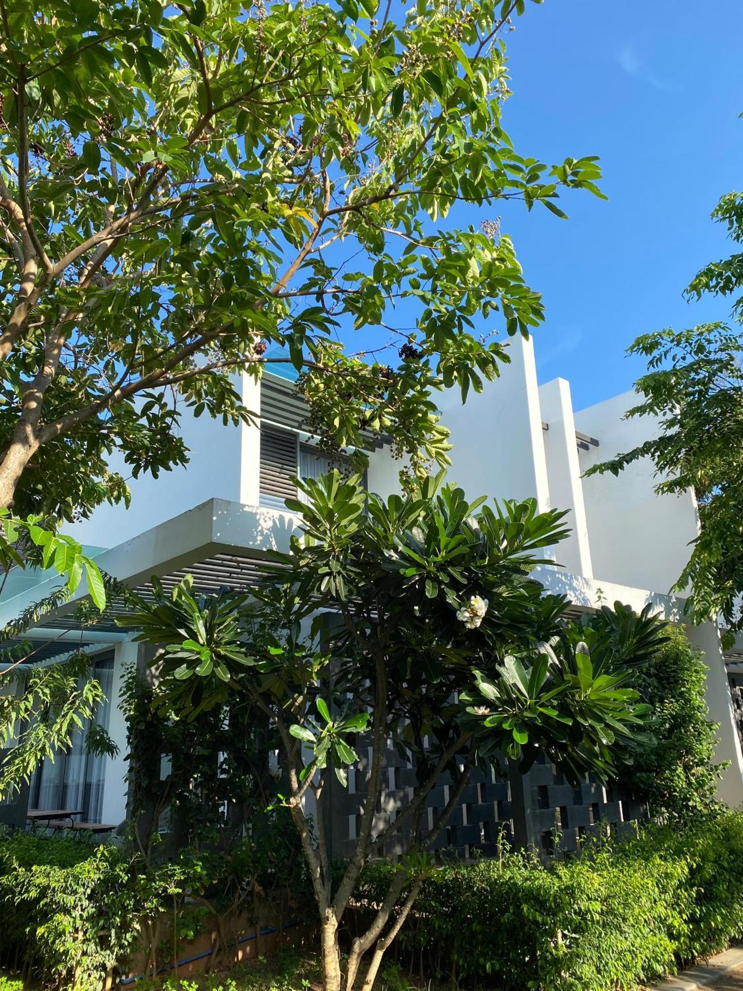 Khach San - Resort Oceanami - Long Hải Ngoại thất bức ảnh